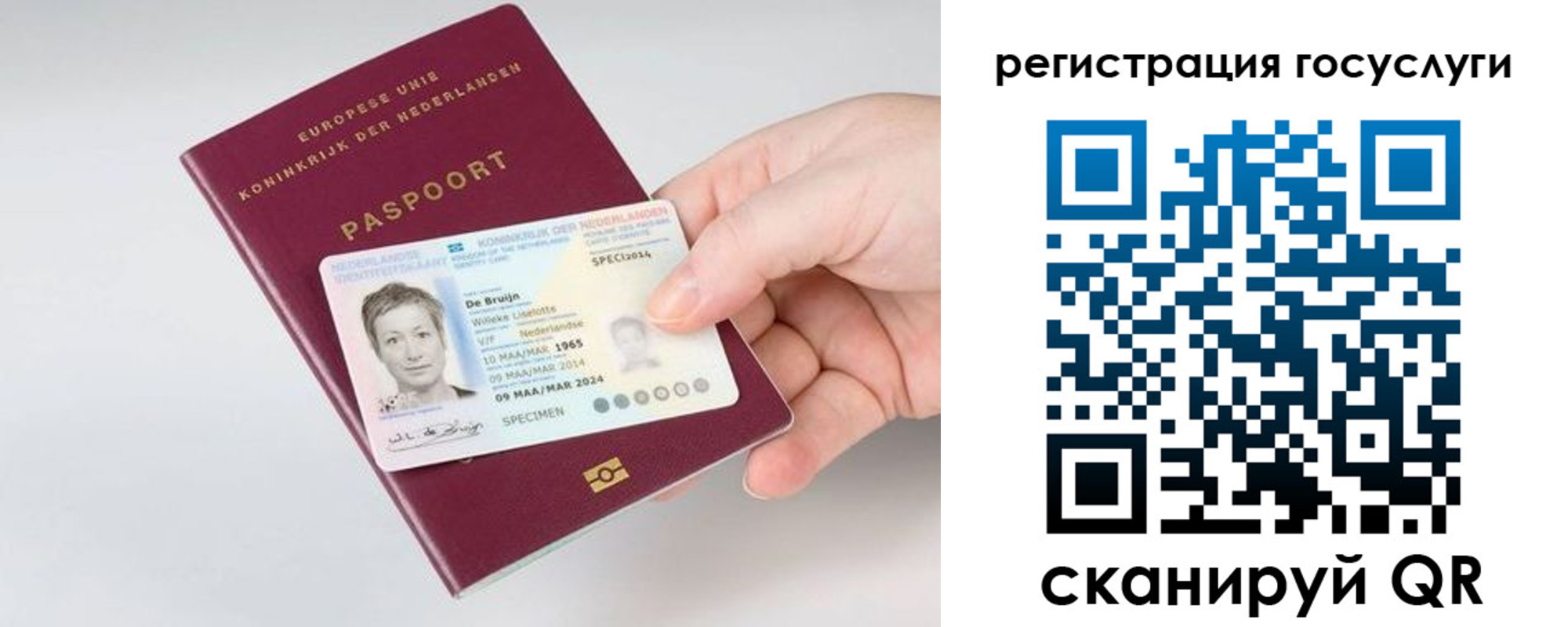 регистрация для дет. сада в Вяземском